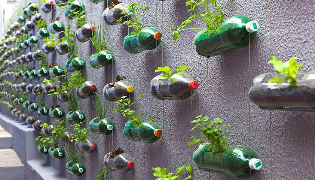 Vertical Gardening - Wall covered in plastic bottle plant pots hung with wire